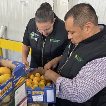 June sees tight mango volumes